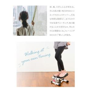 ステッパー サイドステッパー 静音 コンパクト...の詳細画像1