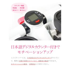 ステッパー サイドステッパー 静音 コンパクト...の詳細画像4