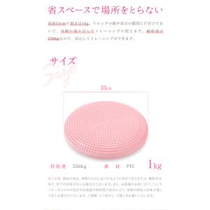 バランスディスク バランスクッション 抗菌仕様...の詳細画像3