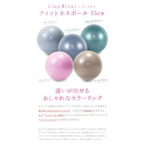 バランスボール フィットネスボール 55cm ...の詳細画像1
