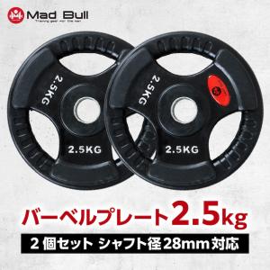 バーベル10kg プレート 2枚 28mm 用 バーベル 用 プレート 10kg 2個セット ブラックアイアン +