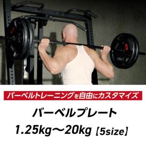 バーベルプレート 5kg 2個セット 穴あき ...の詳細画像1