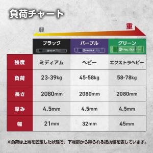 トレーニングチューブ 懸垂チューブ 負荷 58...の詳細画像5