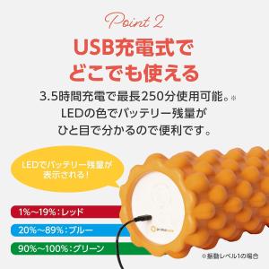 振動 フォームローラー マッサージローラー ブ...の詳細画像5
