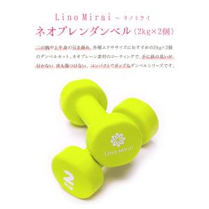 【箱訳アリ】ダンベル 2kg 2個 セット 女...の詳細画像2