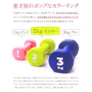 【箱訳アリ】ダンベル 2kg 2個 セット 女...の詳細画像3