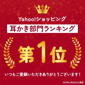耳かき カメラ LED ライト 付き 耳掻き ...の詳細画像1