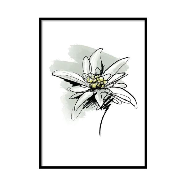 A0203/線画/アートポスター/インテリア/モダン/ウォールデコレーション/壁掛け/アートパネル