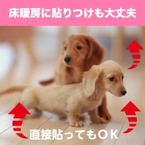 床 傷 汚れ 防止 フローリング保護 床の傷み...の詳細画像5