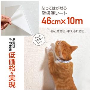 壁紙保護 壁紙 傷 汚れ防止シート 業務用 46cm×20m : プチリフォーム