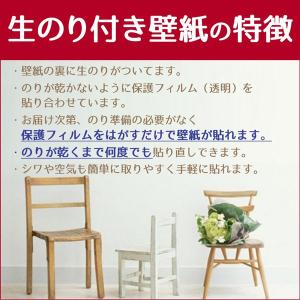 壁紙 白 ホワイト 無地 シンプル 柄なし 生...の詳細画像1