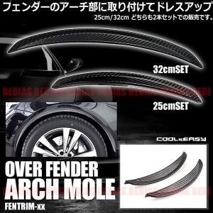 フェンダー トリム モール 2本セット ドライカーボン調 マッドガード