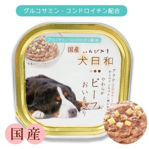 ゼオカル21 詰め替え用 100g リニューアル版 2箱セット アルカリイオン