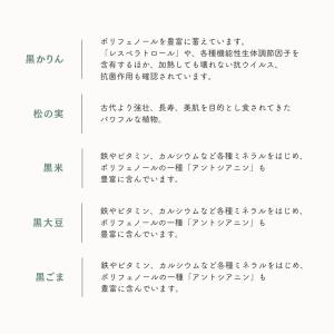 古代食 くろご 800g 2袋セット 波動の塩...の詳細画像2