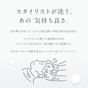 シャンプー 詰め替え LIPPS スタイリスト...の詳細画像3