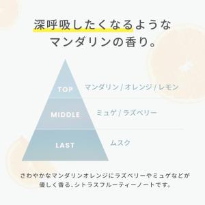 シャンプー 詰め替え LIPPS スタイリスト...の詳細画像5