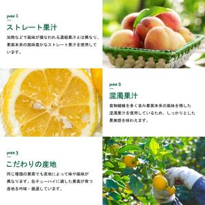 送料無料 アシード アスター 山梨すもものチュ...の詳細画像4