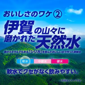 あすつく 送料無料 サンガリア 伊賀の天然水 ...の詳細画像4