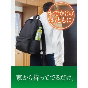 9/25限定P2% あすつく 送料無料 サント...の詳細画像2