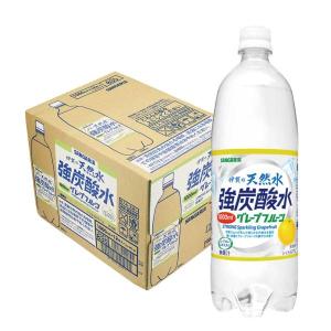炭酸水 送料無料 サンガリア 伊賀の天然水 強炭酸水 グレープフルーツ 1000ml(1L)×12本