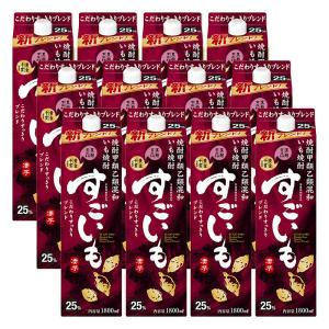 サッポロ 黒ラベル ビール 黒ビール 送料無料 黒 500ml×2ケース/48本