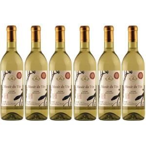 あすつく 送料無料 ナチュール オレンジワイン 6本セット 750ml×6本