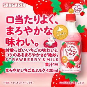10/25限定P2% 送料無料 サンガリア ま...の詳細画像1