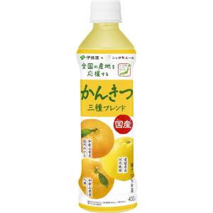 送料無料 伊藤園 ニッポンエール 国産かんきつ三種ブレンド  400g×1ケース/24本｜liquor-boss1