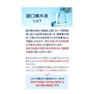 送料無料 赤穂化成 スムーズイオン 経口補水液...の詳細画像4