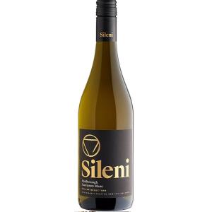 アサヒ（asahi） GINON ジノン レモン 40度 ペットボトル 1800ml 1.8L