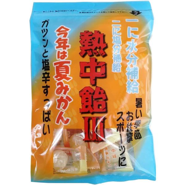 4/28限定+3％ 送料無料 井関食品 熱中飴III夏みかん100g×10袋