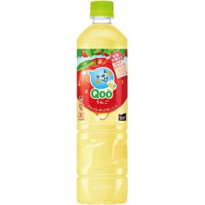 アサヒ（asahi） GINON ジノン レモン 40度 ペットボトル 1800ml 1.8L