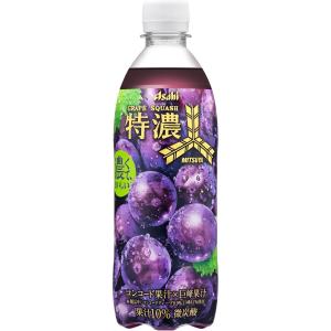 三ツ矢 アサヒ飲料 特濃アップルスカッシュ 500mlペットボトル×24本入