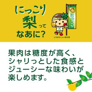 送料無料 伊藤園 ニッポンエール 栃木県産 に...の詳細画像1