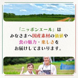 送料無料 伊藤園 ニッポンエール 栃木県産 に...の詳細画像4