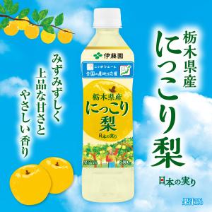 送料無料 伊藤園 ニッポンエール 栃木県産 に...の詳細画像2