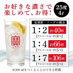 あすつく 送料無料 宝酒造 宝焼酎 25度 エ...の詳細画像2