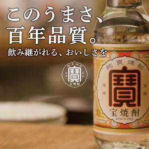 あすつく 送料無料 宝酒造 宝焼酎 25度 エ...の詳細画像3
