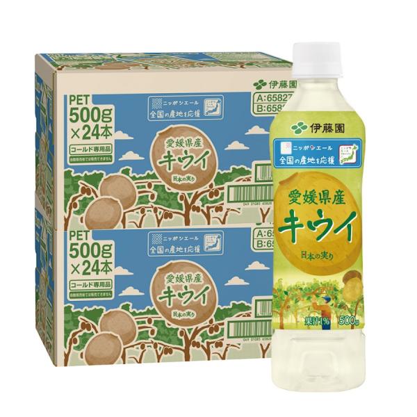 12/1限定P2% 送料無料 伊藤園 ニッポンエール 愛媛県産キウイ PET 500g×2ケース/4...