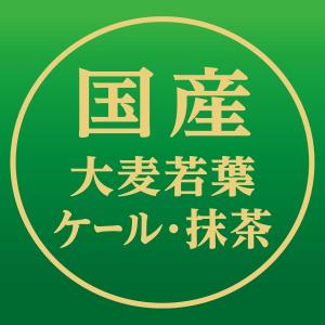 送料無料 伊藤園 (機能性表示食品) 毎日1杯...の詳細画像2