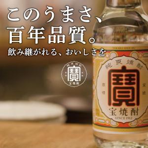 あすつく 送料無料 宝酒造 宝焼酎 20度 ペ...の詳細画像2