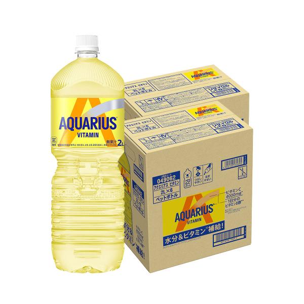 送料無料 コカ コーラ アクエリアス 1日分のマルチビタミン 2000ml 2L×2ケース/12本