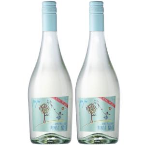 送料無料 頭痛や二日酔いを感じにくい ナチュールワイン6本セット