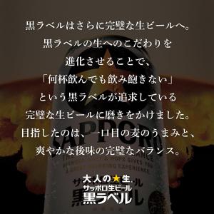 【最大1500円OFFクーポン 受賞ストア限定...の詳細画像2