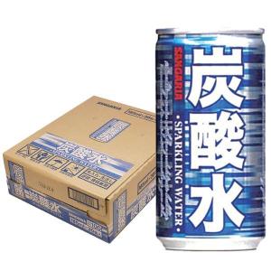 サンガリア⭐︎ サンガリア きれいな炭酸水 185ml缶×30本入｜ 送料無料