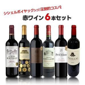 SUNTORY（サントリー） V.S.O.P フロスティボトル 660ml 『FSH』 : 酒