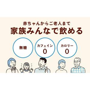 送料無料 伊藤園 健康 ミネラル むぎ茶 65...の詳細画像4