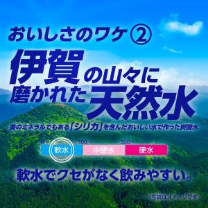 あすつく 送料無料 サンガリア 伊賀の天然水 ...の詳細画像4