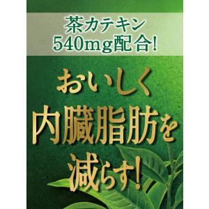 10/4限定P2% あすつく 送料無料 機能性...の詳細画像2