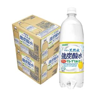 炭酸水 送料無料 サンガリア 伊賀の天然水 強炭酸水 グレープフルーツ 1000ml(1L)×24本